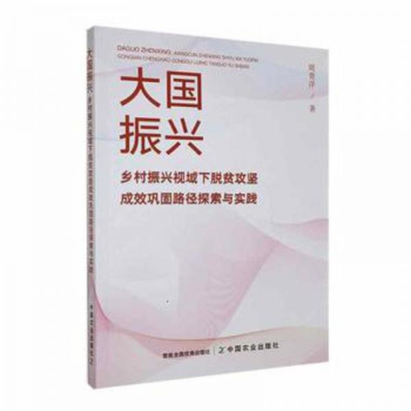 大國振興(鄉(xiāng)村振興視域下脫貧攻堅成效鞏固路徑探索與實踐)