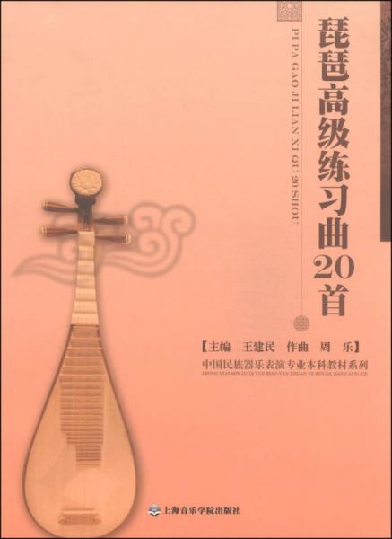 中国民族器乐表演专业本科教材系列：琵琶高级练习曲20首