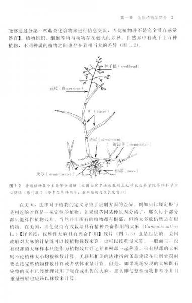 法医植物学：实践指南