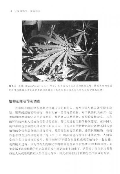 法医植物学：实践指南