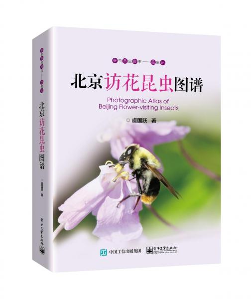 北京访花昆虫图谱 