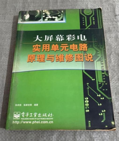 大屏幕彩電實用單元電路原理與維修圖說