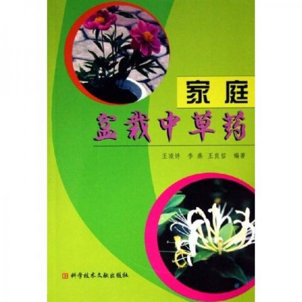 家庭盆栽中草藥