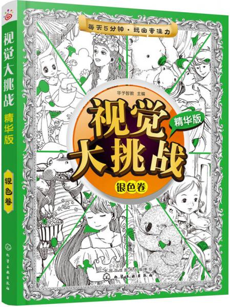 视觉大挑战：精华版. 银色卷