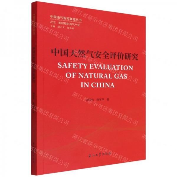 中國天然氣安全評價(jià)研究/中國油氣智庫聯(lián)盟叢書