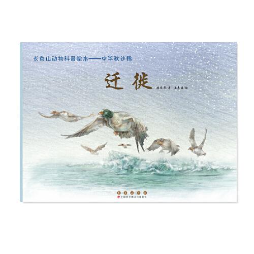 长白山动物科普绘本——中华秋沙鸭·迁徙