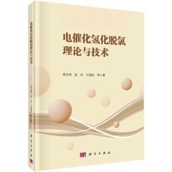 电催化氢化脱氯理论与技术