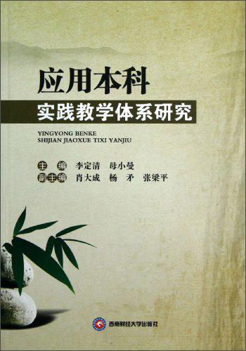 應(yīng)用本科實(shí)踐教學(xué)體系研究