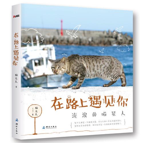 在路上遇見你