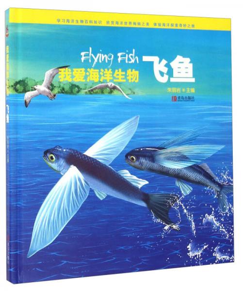 我愛(ài)海洋生物 飛魚(yú)