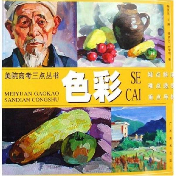 美院高考三點(diǎn)叢書：色彩