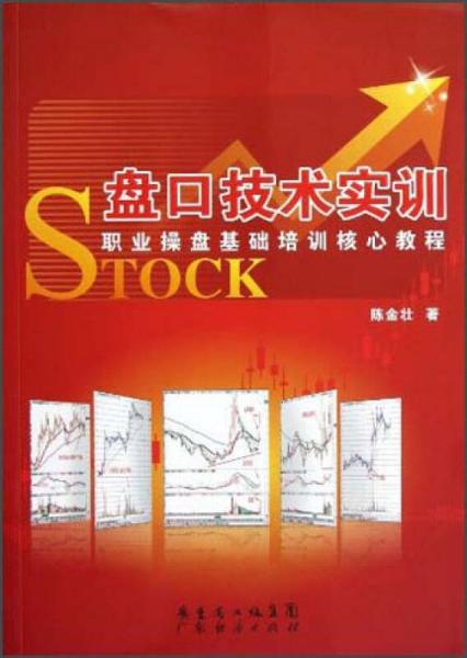 盤口技術(shù)實(shí)訓(xùn)：職業(yè)操盤基礎(chǔ)培訓(xùn)核心教程