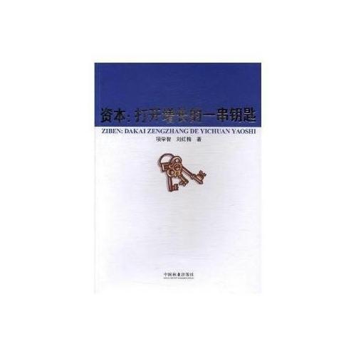 資本--打開增長的一串鑰匙