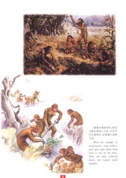 21世纪小小百科（人卷）