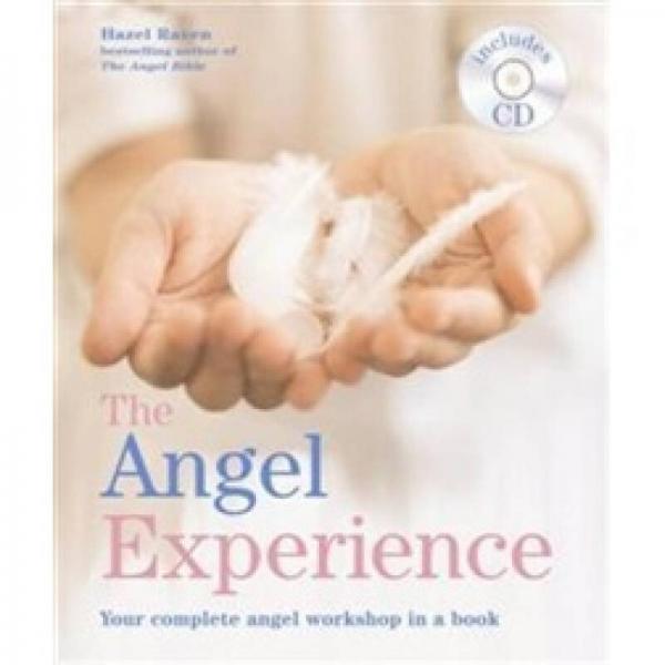 The Angel Experience