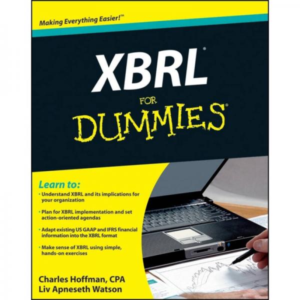 XBRL For Dummies  傻瓜書-XBRL