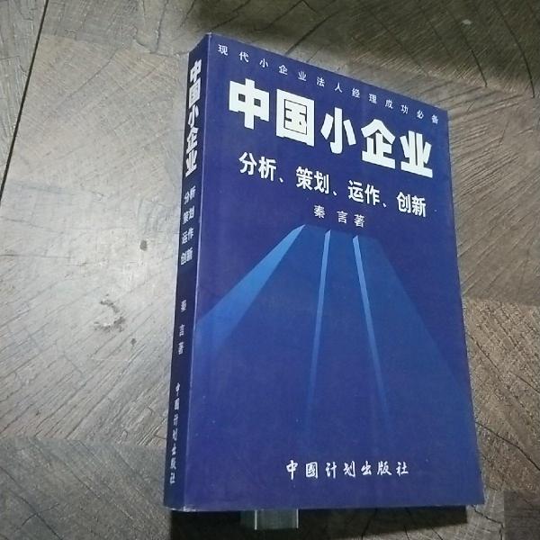 中国小企业:分析、策划、运作、创新