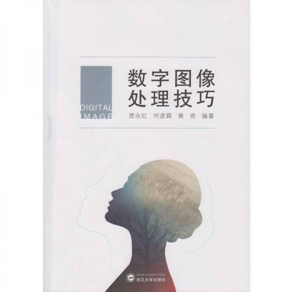 數(shù)字圖像處理技巧