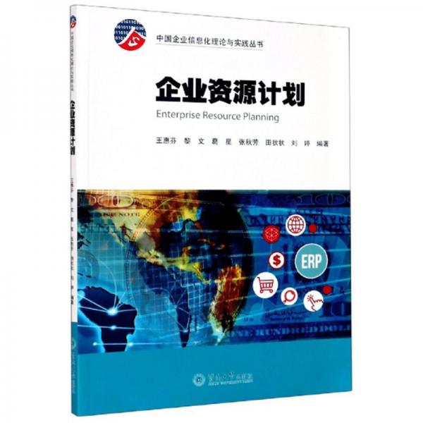 企业资源计划/中国企业信息化理论与实践丛书