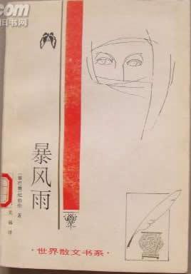 暴風(fēng)雨