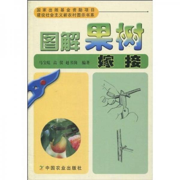 圖解果樹(shù)嫁接（建設(shè)社會(huì)主義新農(nóng)村圖示書(shū)系）
