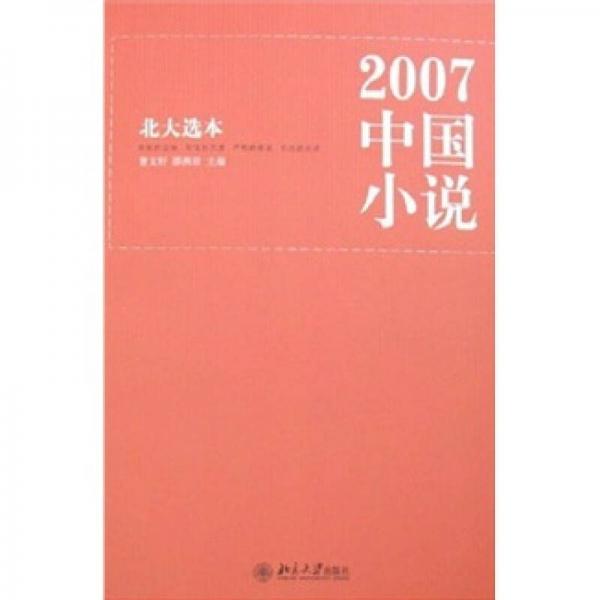 2007中国小说