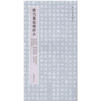 隋代墓志精粹六：楊紀墓志、楊文愻墓志、楊孝偡墓志、楊素墓志、楊文端墓志、楊矩墓志、楊文思墓志