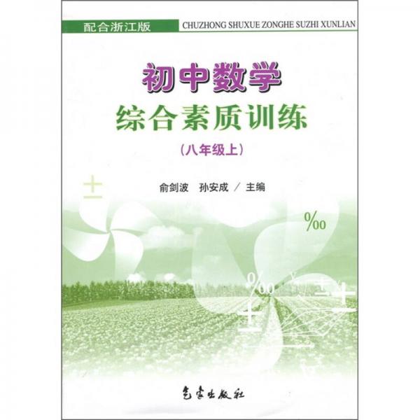 初中数学轻负高效优质训练（8年级上）