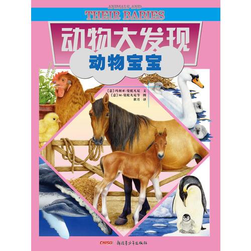 動(dòng)物大發(fā)現(xiàn)系列：動(dòng)物寶寶（獨(dú)特的視角、唯美的畫(huà)風(fēng)，帶你發(fā)現(xiàn)你所不知道的動(dòng)物秘密?。? onerror=