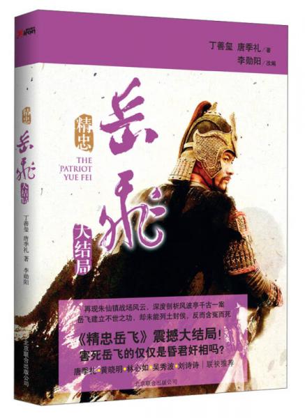 精忠岳飞大结局