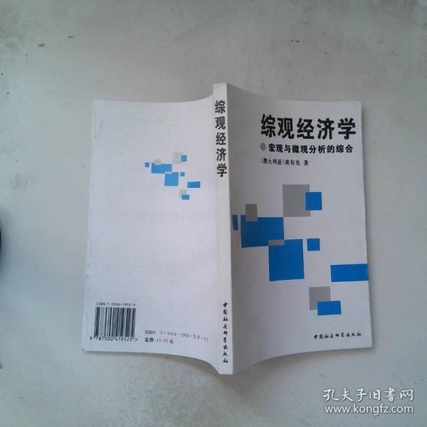 綜觀經(jīng)濟(jì)學(xué):宏觀與微觀分析的綜合