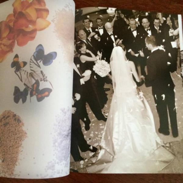 王薇薇：完美婚礼