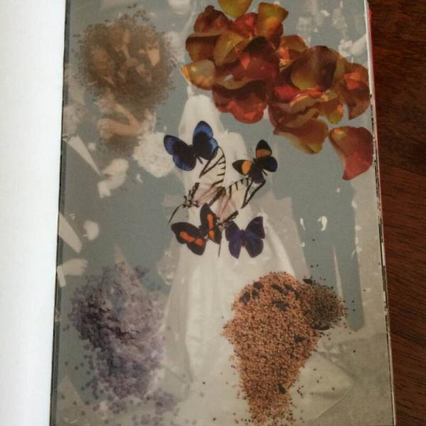 王薇薇：完美婚礼