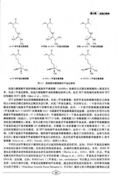 表观遗传学前沿