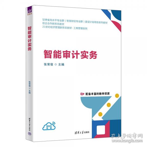 智能审计实务