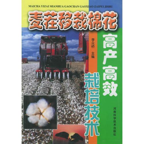 麥茬移栽棉花高產(chǎn)高效栽培技術