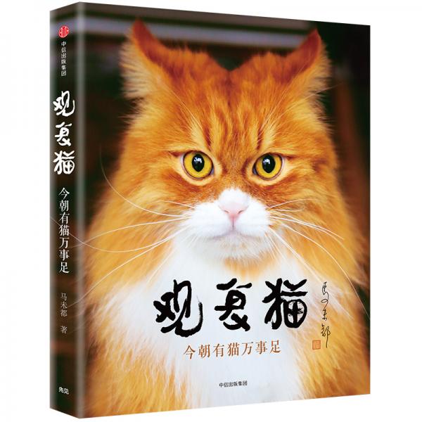 观复猫：今朝有猫万事足