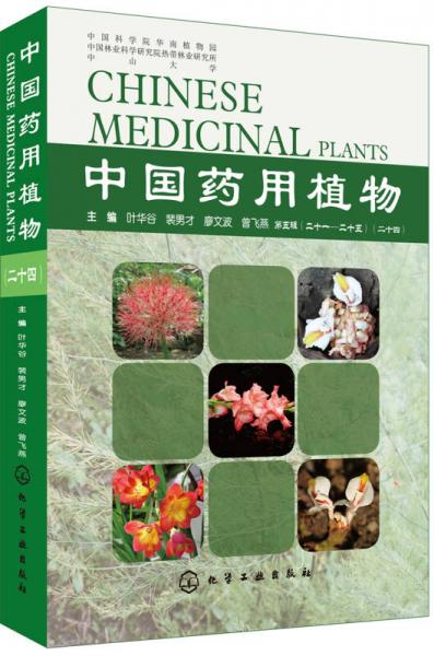 中国药用植物（二十四）