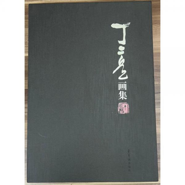 丁二兵畫集  丁二兵
