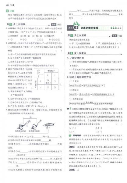 一本：高中生物