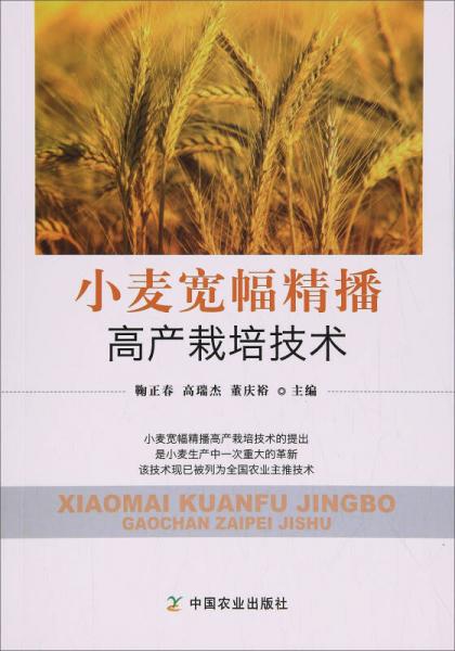 小麦宽幅精播高产栽培技术
