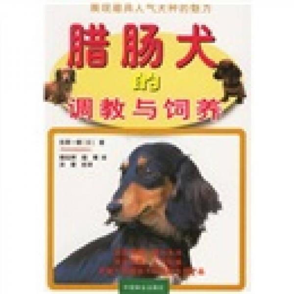 腊肠犬的调教与饲养