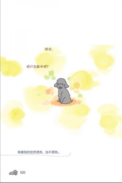 我的小猫和老狗 3