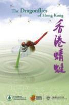香港蜻蜓