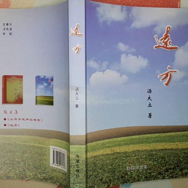 遠方