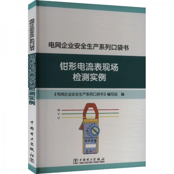 钳形电流表现场检测实例 《电网企业安全生产系列口袋书》编写组 编