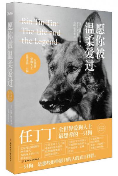 愿你被溫柔愛過