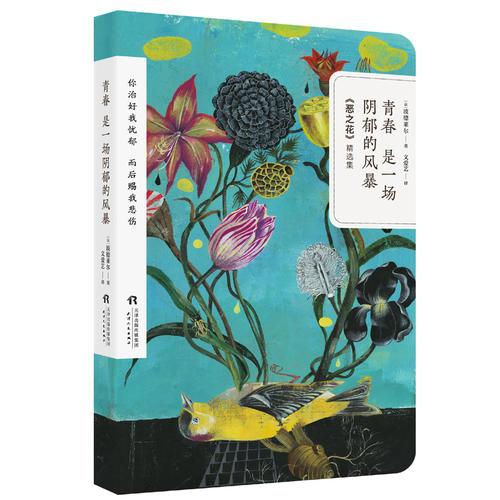 青春是一場陰郁的風暴