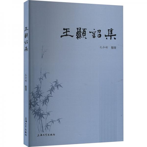 王顯詔集 古典文學(xué)理論 整理:孔令彬 新華正版