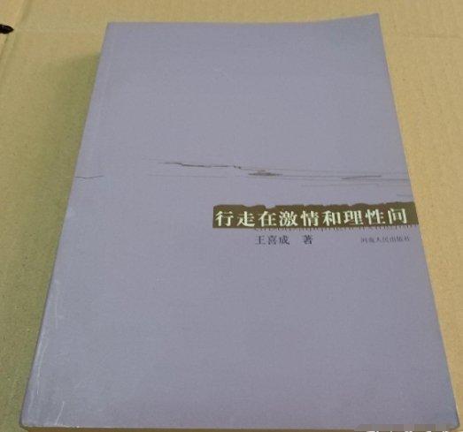 行走于激情和理性間